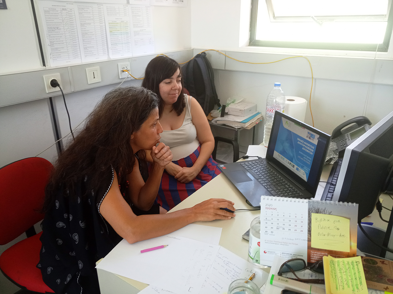 20200624 Networking LIFEwV LIFEBonelli 2 site