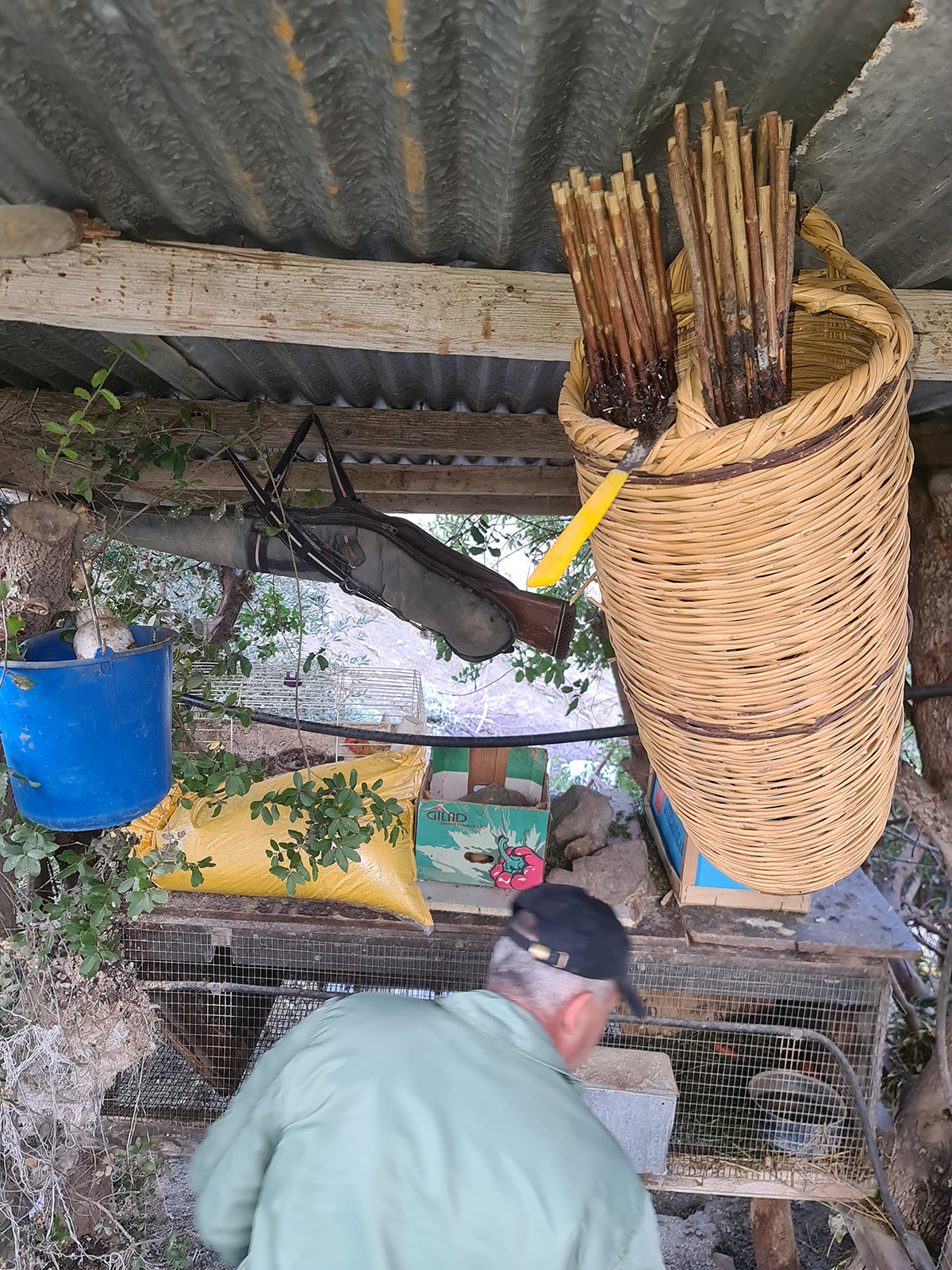 20211221 IKB Spizaetos Cyprus YpiresiaThiras 4