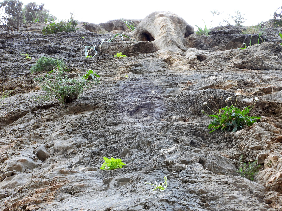 Anarixitiko pedio Crete