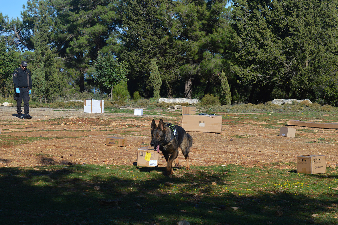 Antipoison Dog Units Crete NHMC 1