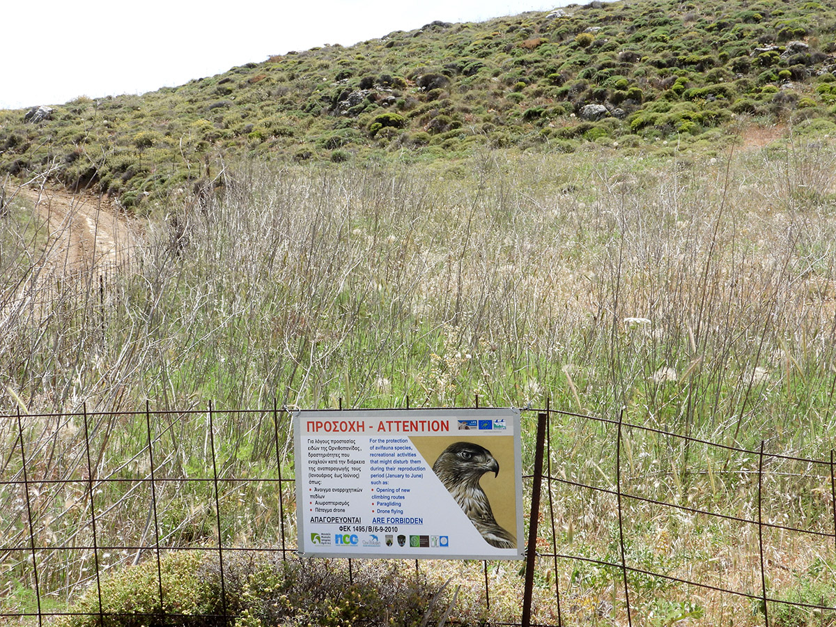 Apagoreutiki pinakida site 2