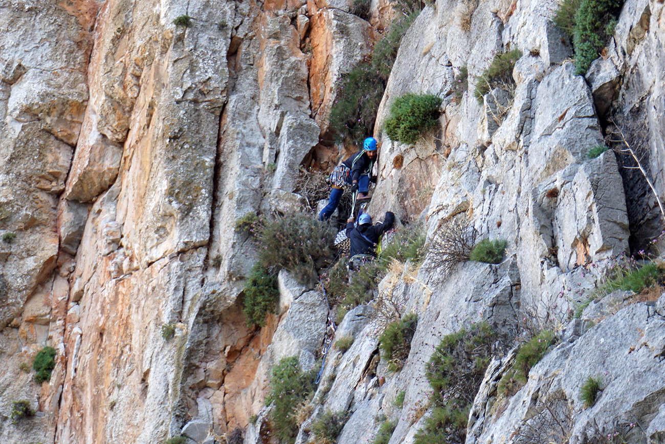 LIFEBonelli Nikos Tsiopelas ORNITHOLOGIKI Mani2020