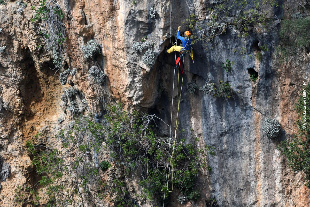 Malathyros 180421 AfroditiKardamaki