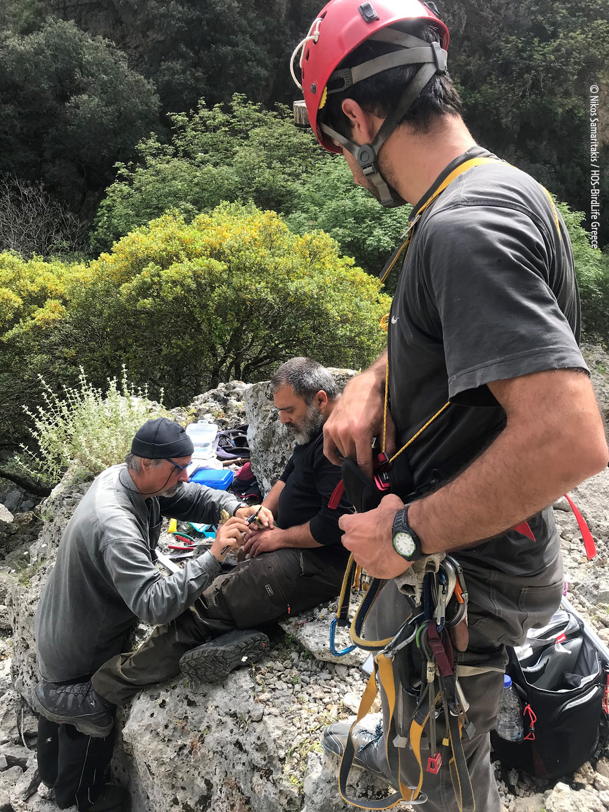 Malathyros 180421 NikosSamaritakis 1 Αντιγραφή