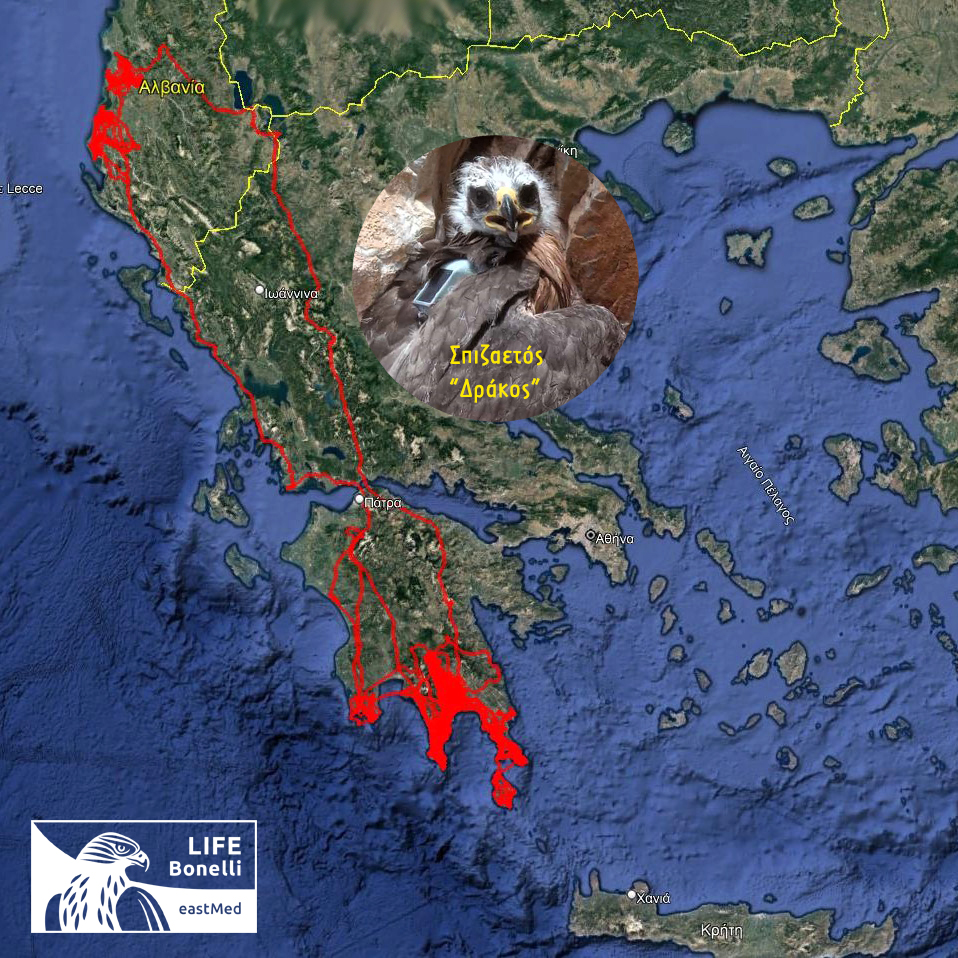 Spizaetos Drakos Route Telemetry