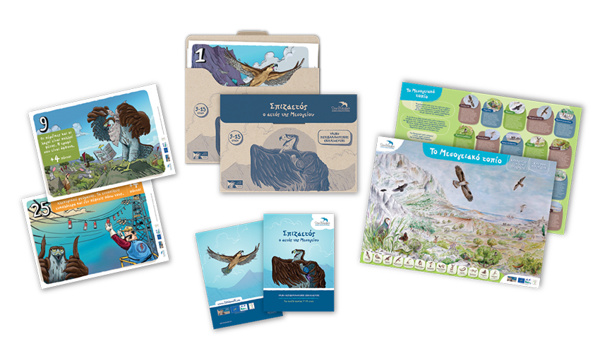 Spizaetos Synthesi transparent L