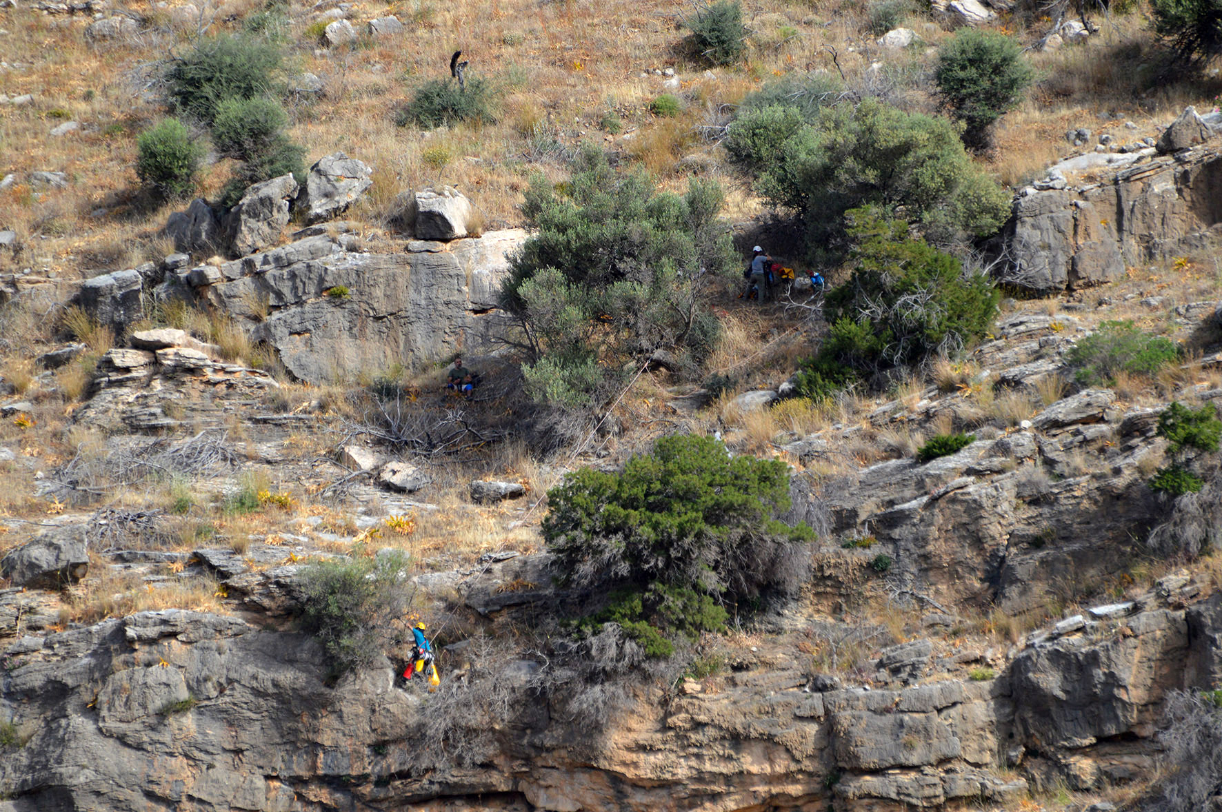 Tagging Spizaetos SLiapakis NHMC