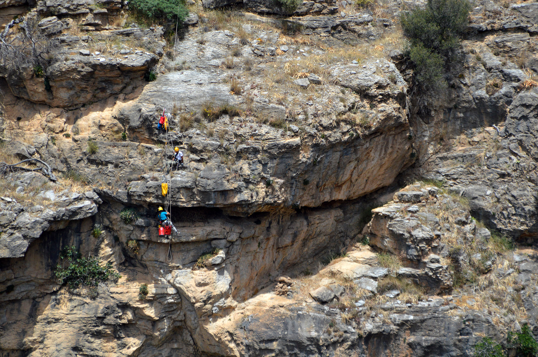 Tagging Spizaetos SLiapakis NHMC 2