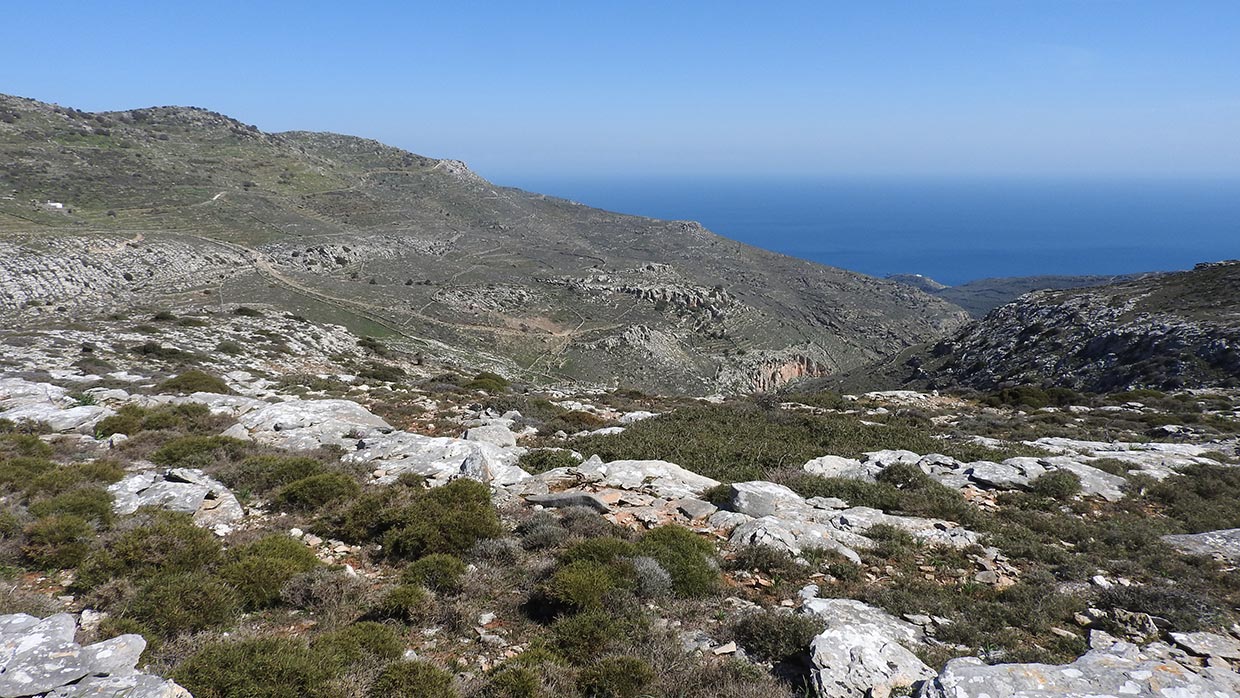 10 Andros TDimalexis NCC