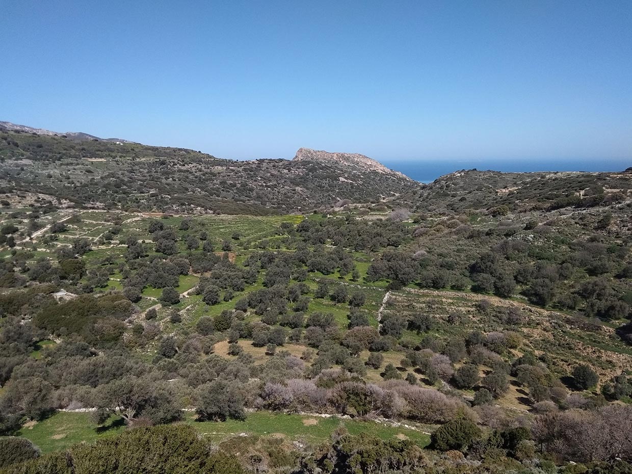 11 Naxos NikosProbonas NCC (2)