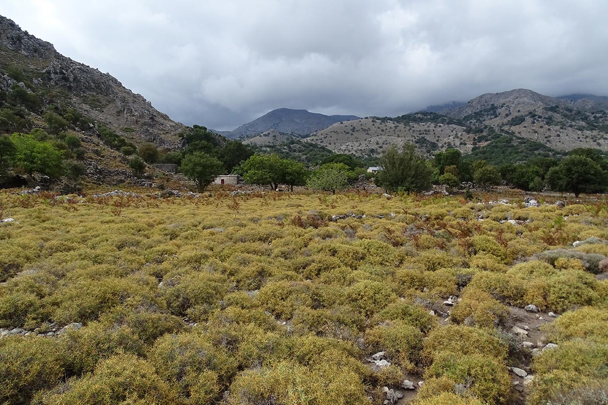 15 GR18 Kallikratis DSC02595