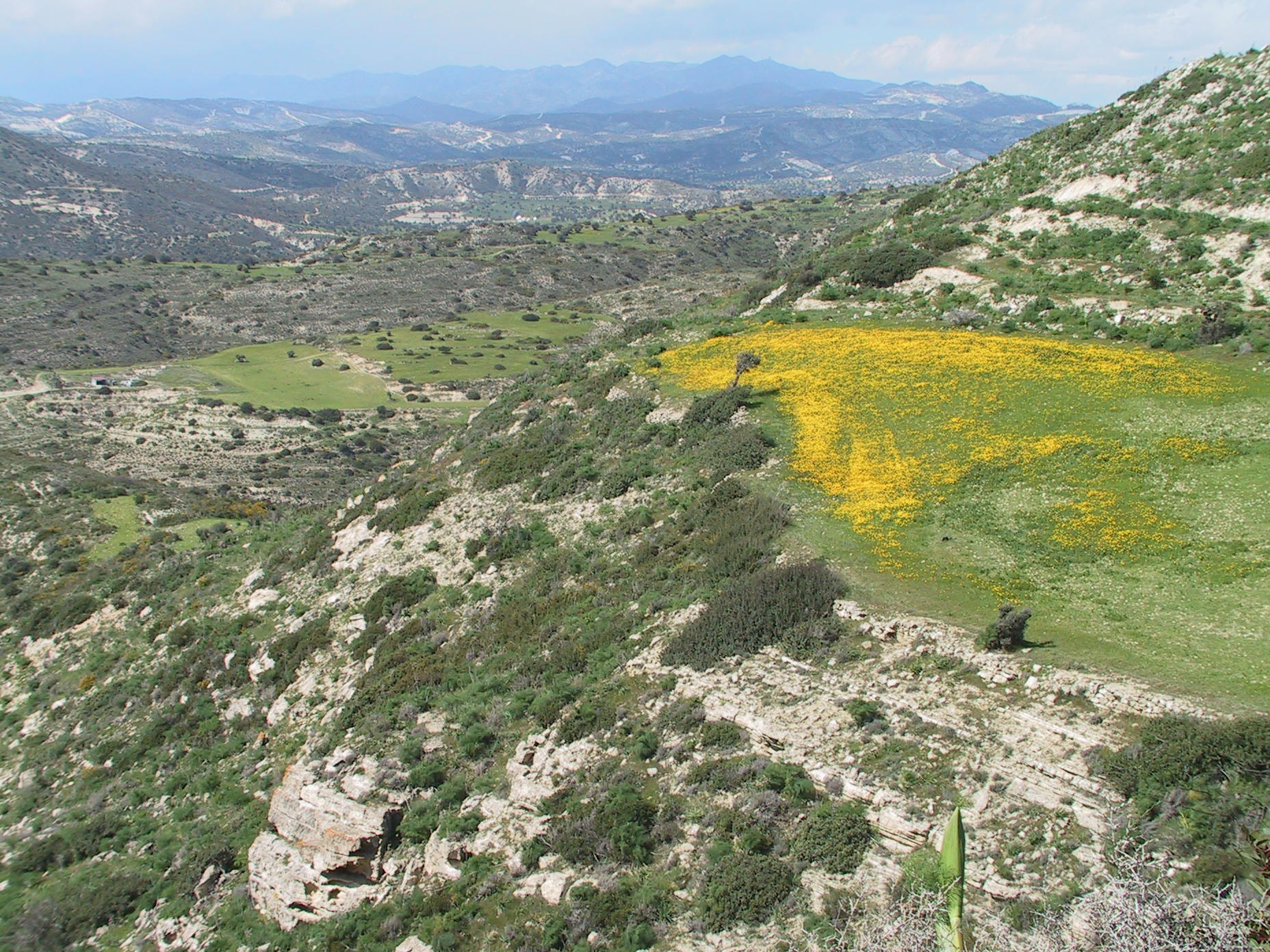 19 Pentasxoinos Cyprus YpiresiaThiras