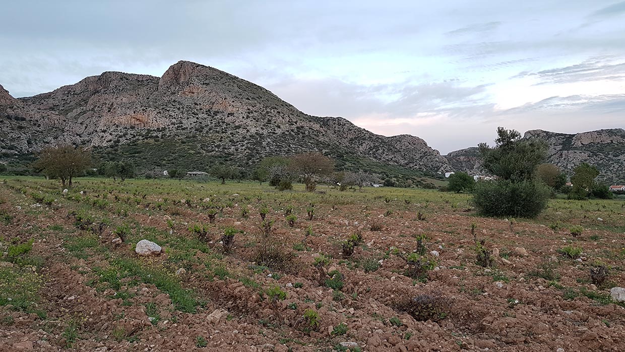 1 Sounio RoulaTrigou