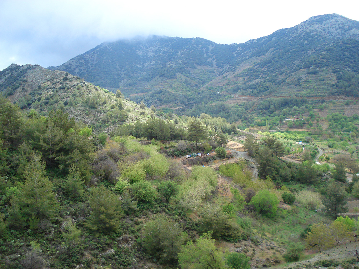 20 Madari Papoutsa Cyprus YpiresiaThiras