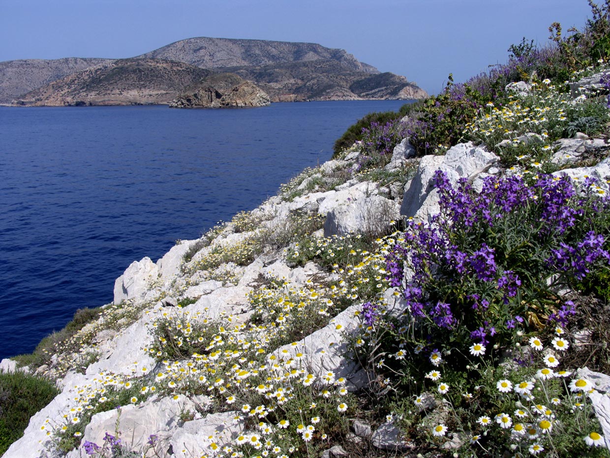 9 Βραχονησίδα ΜικρόςΆβελας ΓιάννηςΓαβαλάς