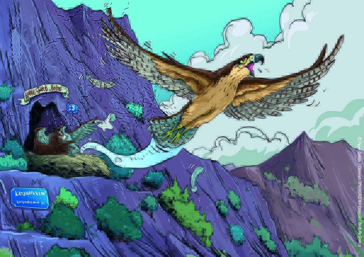 Illustration Spizas 1