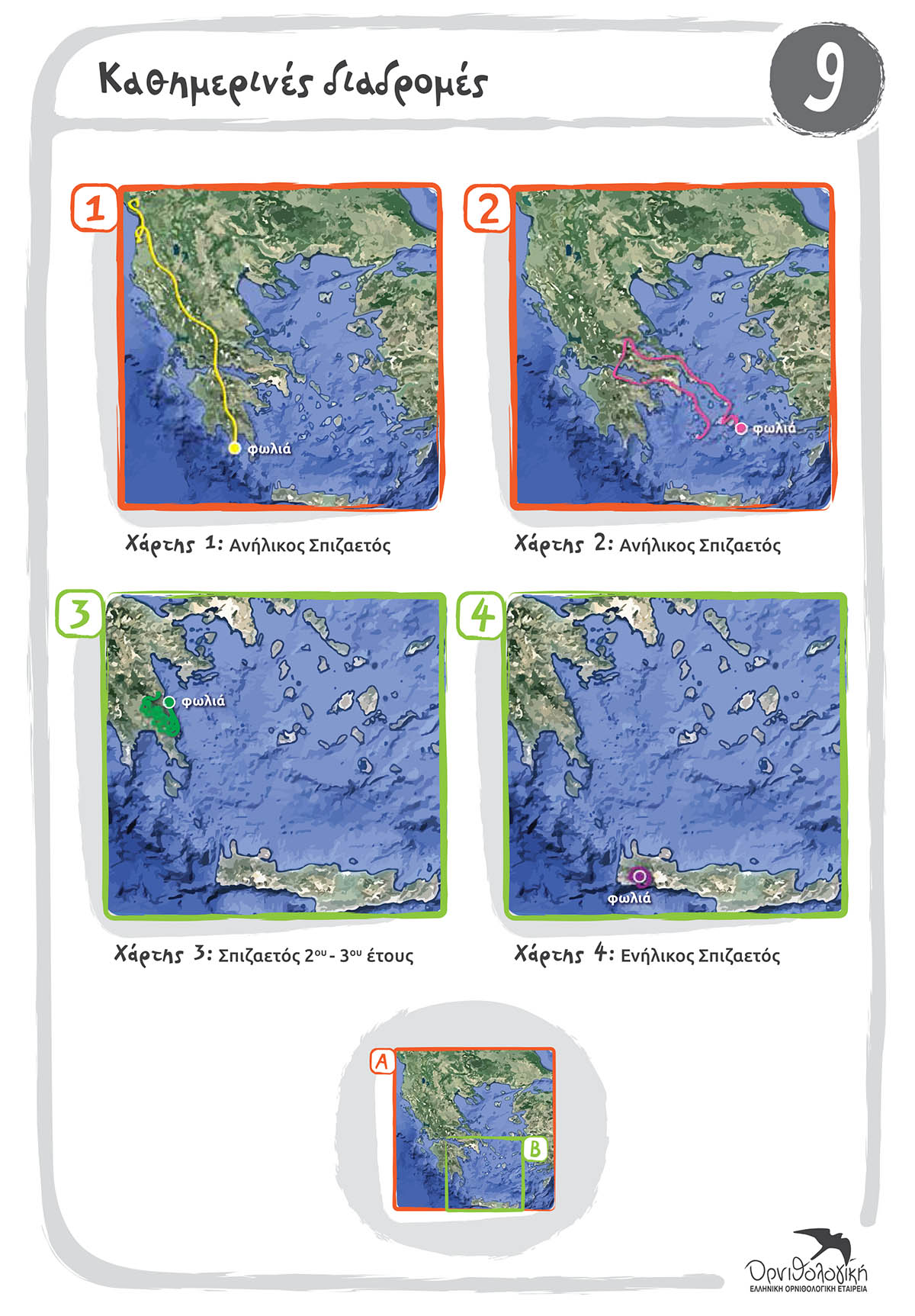 9 Kathimerines Diadromes
