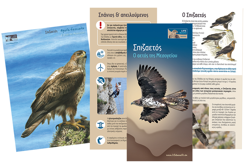 Leafler LIFE Bonelli GR