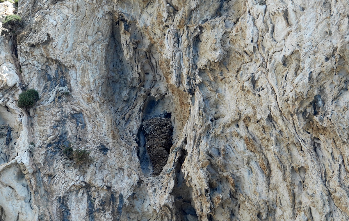 10 Neo BreedingPerformance 2023 LIFEBonelli