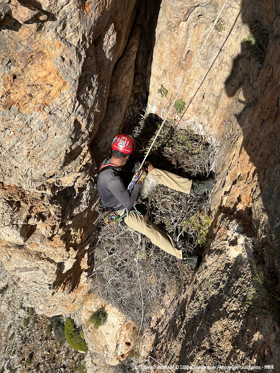 11 ΣΠ Λειψοί cr