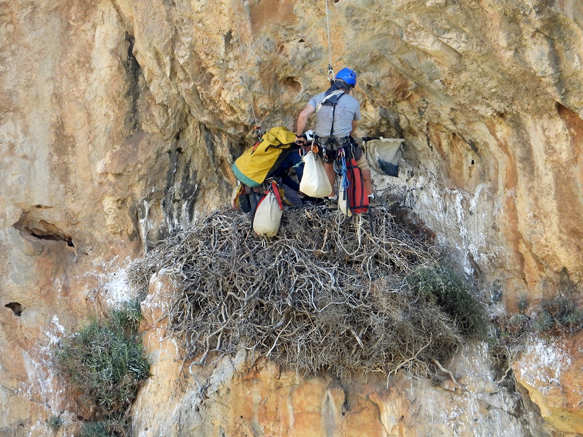 18 Neo BreedingPerformance 2023 LIFEBonelli