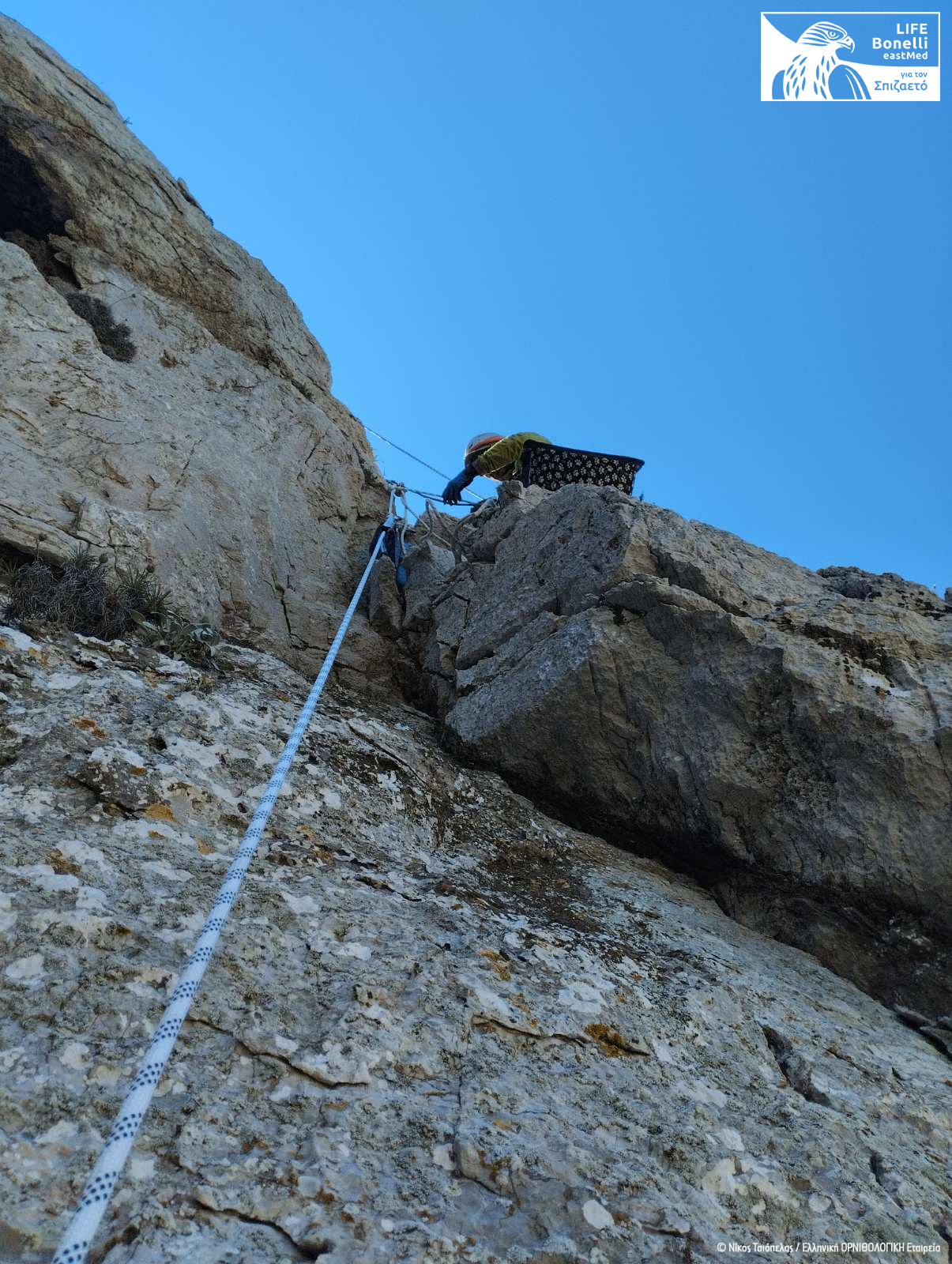 2023 04 24 Tagging Attiiki fwlia