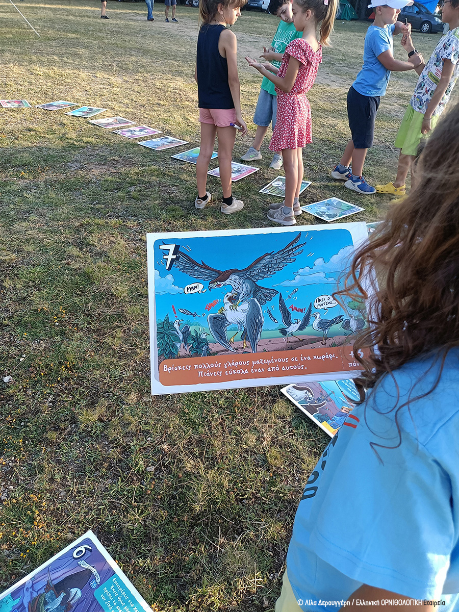 2023 07 14 Astroeksormisi Parnonas LilaDerouggeri ORNITHOLOGIKI 3