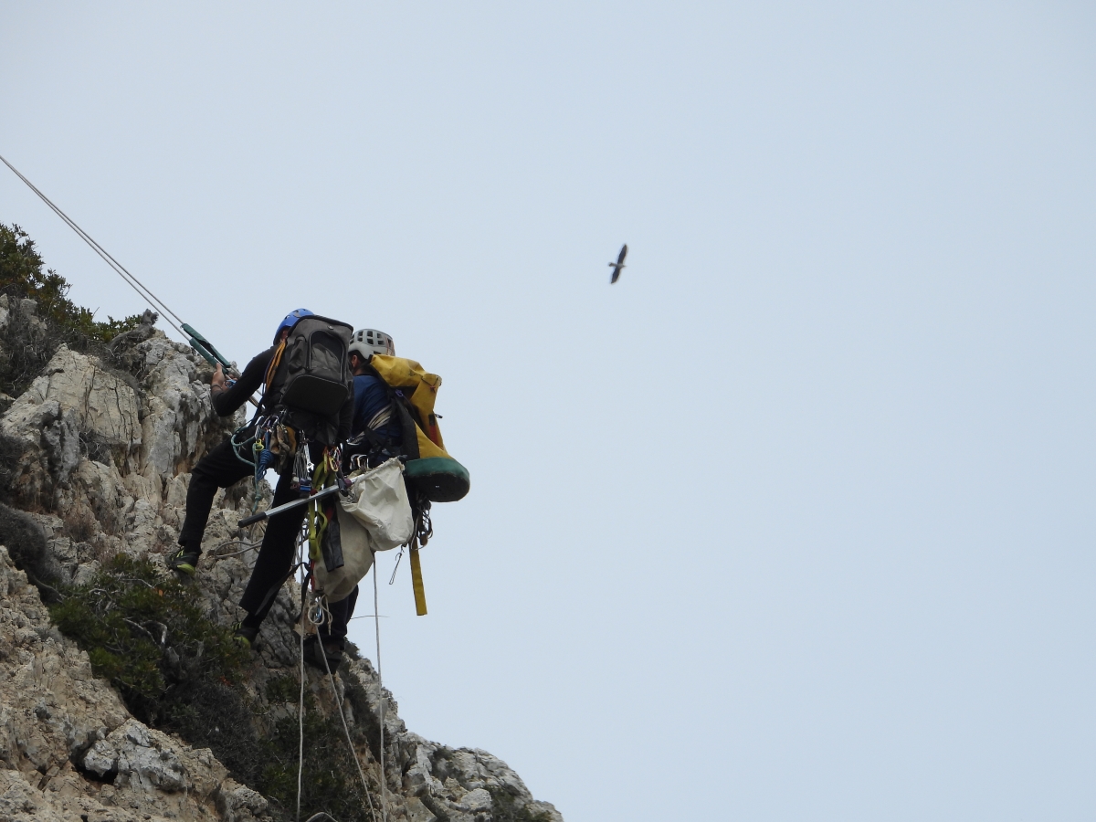 20 Neo BreedingPerformance 2023 LIFEBonelli