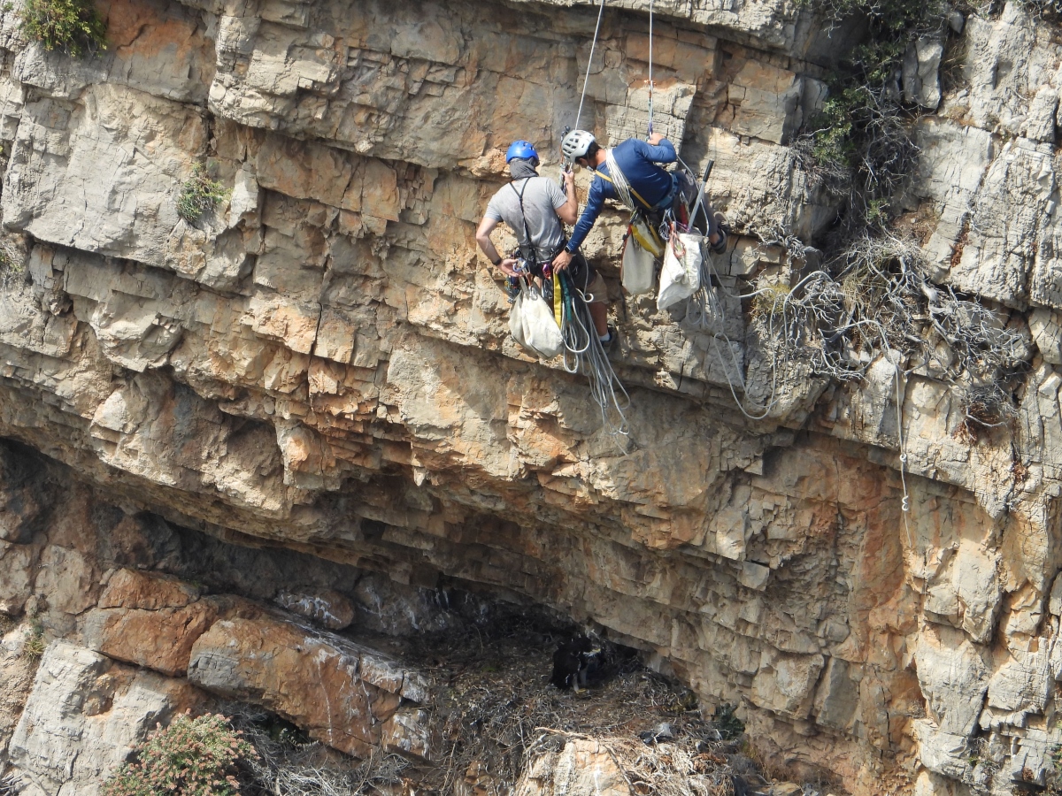 25 Neo BreedingPerformance 2023 LIFEBonelli