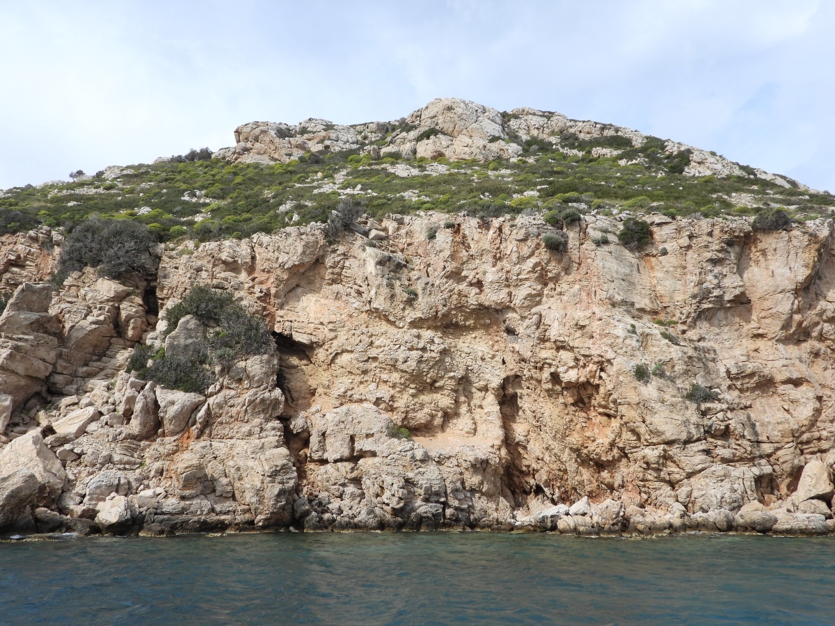 2 Neo BreedingPerformance 2023 LIFEBonelli