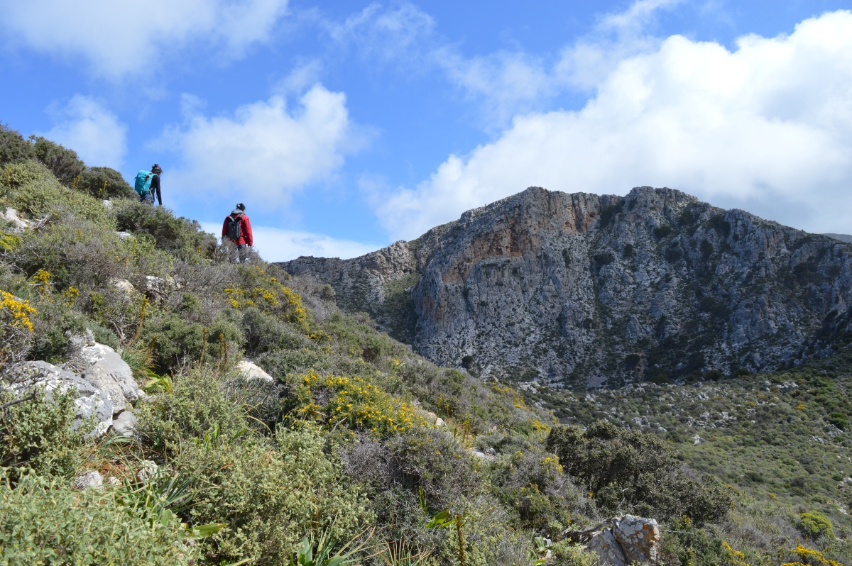 3 Neo BreedingPerformance 2023 LIFEBonelli