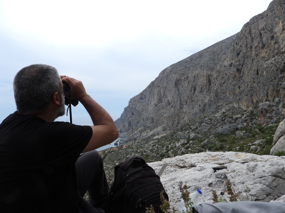 5 Neo BreedingPerformance 2023 LIFEBonelli