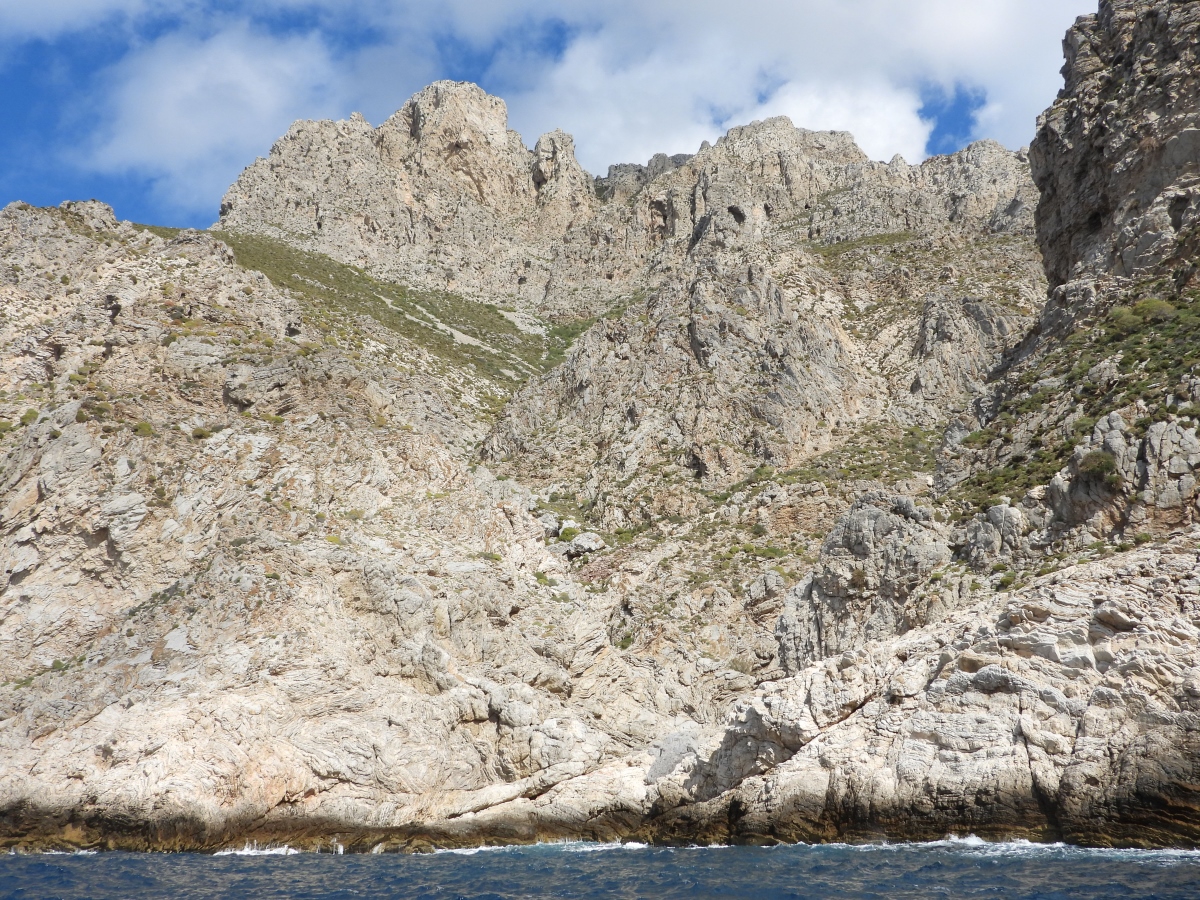 8 Neo BreedingPerformance 2023 LIFEBonelli