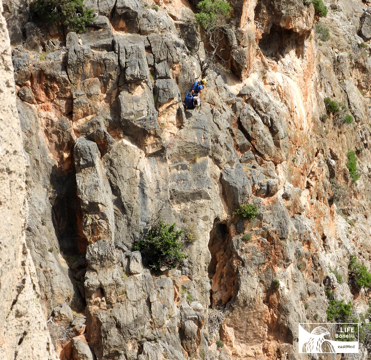 Tagging Crete NHMC April2022 1