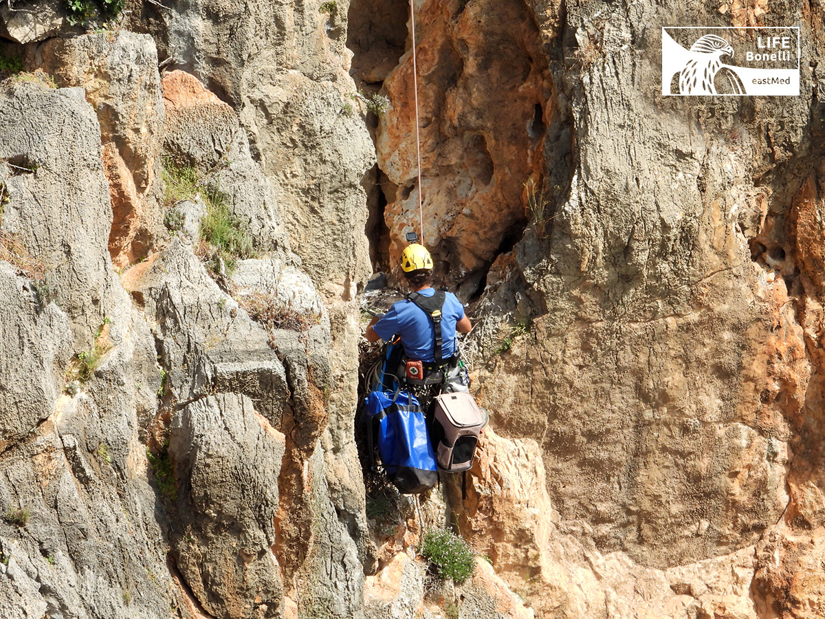 Tagging Crete NHMC April2022 3