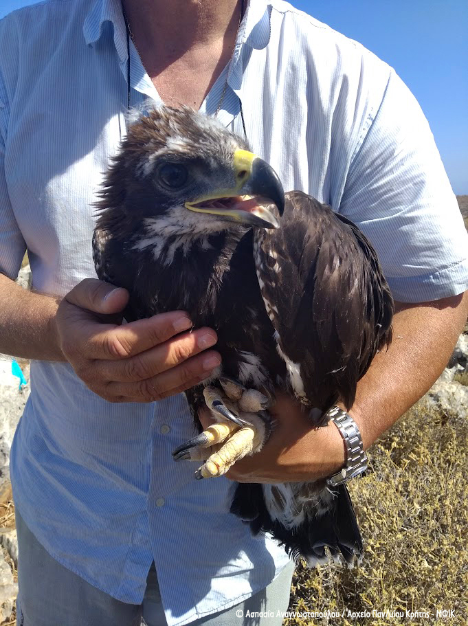 Xrusaetos tagged Crete AspasiaAnagnostou cr 2