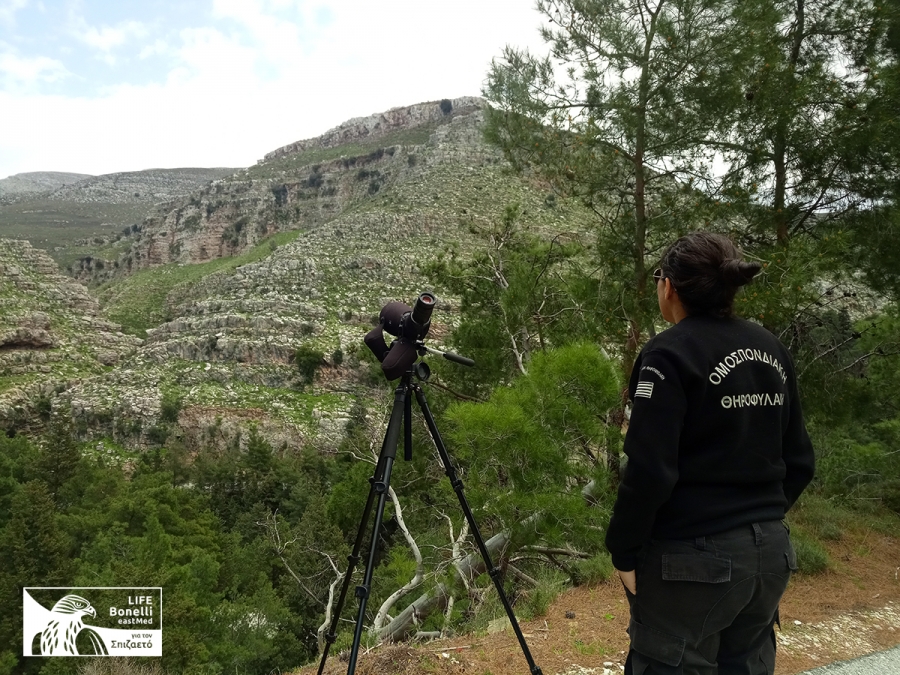 &Eta; &Rho;&omicron;&delta;ί&tau;&iota;&sigma;&sigma;&alpha; &pi;&omicron;&upsilon; &kappa;ά&nu;&epsilon;&iota; &tau;&eta; &delta;&iota;&alpha;&phi;&omicron;&rho;ά