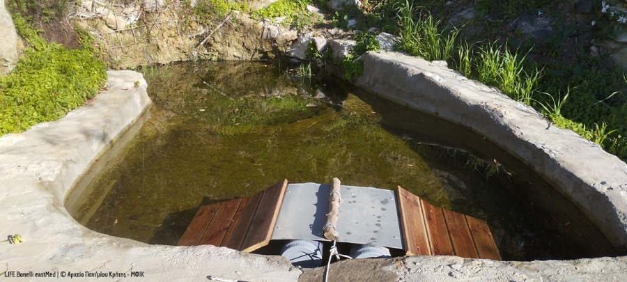 Crete-Tilos, just a Bonelli&rsquo;s Eagle away!