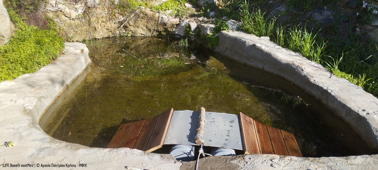 Crete-Tilos, just a Bonelli&rsquo;s Eagle away!