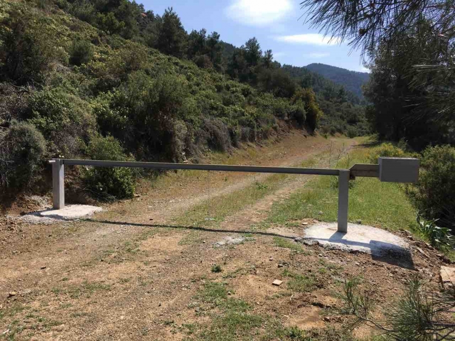 &Delta;&rho;ά&sigma;&epsilon;&iota;&sigmaf; &gamma;&iota;&alpha; &tau;&eta; &mu;&epsilon;ί&omega;&sigma;&eta; &tau;&eta;&sigmaf; ό&chi;&lambda;&eta;&sigma;&eta;&sigmaf; &kappa;&alpha;&iota; &tau;&eta; &beta;&epsilon;&lambda;&tau;ί&omega;&sigma;&eta; &tau;&eta;&sigmaf; &delta;&iota;&alpha;&theta;&epsilon;&sigma;&iota;&mu;ό&tau;&eta;&tau;&alpha;&sigmaf; &tau;&rho;&omicron;&phi;ή&sigmaf; &gamma;&iota;&alpha; &tau;&omicron;&nu; &Sigma;&pi;&iota;&zeta;&alpha;&epsilon;&tau;ό &sigma;&tau;&eta;&nu; &Kappa;ύ&pi;&rho;&omicron;