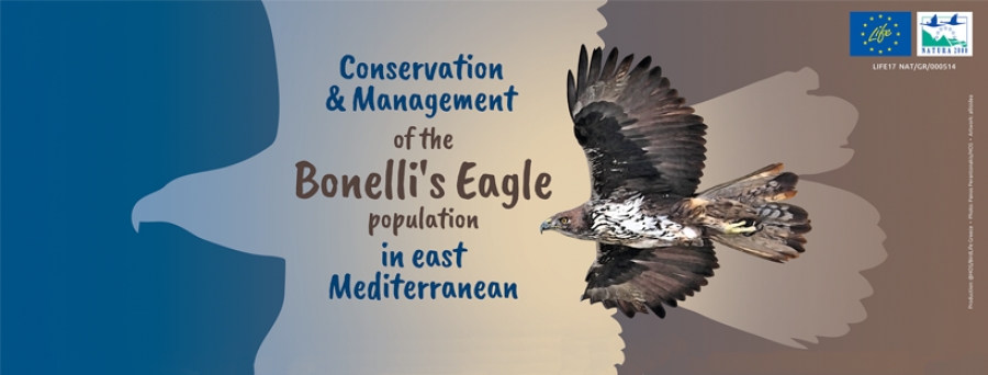 &Pi;&rho;&omicron;&kappa;ή&rho;&upsilon;&xi;&eta;: &Sigma;ύ&mu;&beta;&alpha;&sigma;&eta; &gamma;&iota;&alpha; &Delta;&alpha;&sigma;&omicron;&lambda;ό&gamma;&omicron; &sigma;&tau;&omicron; &Upsilon;&Pi;&Epsilon;&Nu; &gamma;&iota;&alpha; &tau;&omicron; &Pi;&rho;ό&gamma;&rho;&alpha;&mu;&mu;&alpha; LIFE Bonelli eastMed