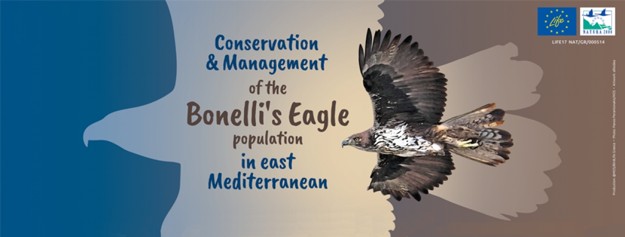 &Pi;&rho;&omicron;&kappa;ή&rho;&upsilon;&xi;&eta;: &Sigma;ύ&mu;&beta;&alpha;&sigma;&eta; &gamma;&iota;&alpha; &Delta;&alpha;&sigma;&omicron;&lambda;ό&gamma;&omicron; &sigma;&tau;&omicron; &Upsilon;&Pi;&Epsilon;&Nu; &gamma;&iota;&alpha; &tau;&omicron; &Pi;&rho;ό&gamma;&rho;&alpha;&mu;&mu;&alpha; LIFE Bonelli eastMed