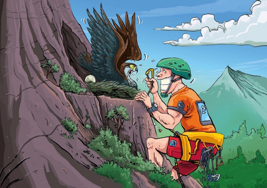 Bonelli&rsquo;s Eagle travels to Meteora
