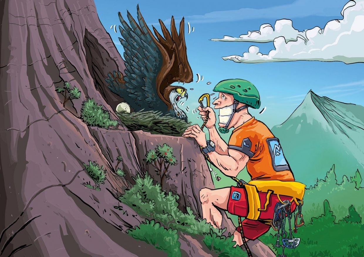 Bonelli&rsquo;s Eagle travels to Meteora