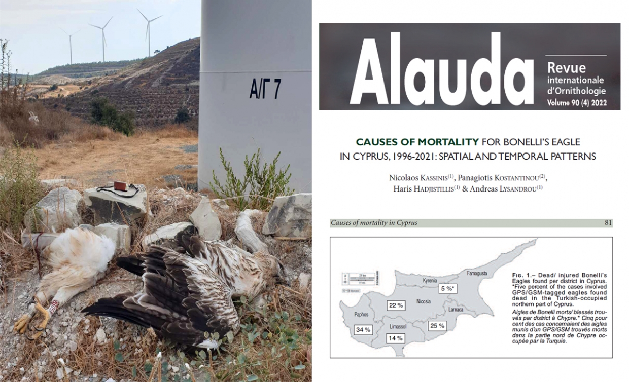 The causes of mortality for Bonelli&rsquo;s Eagles in Cyprus (1996-2021)