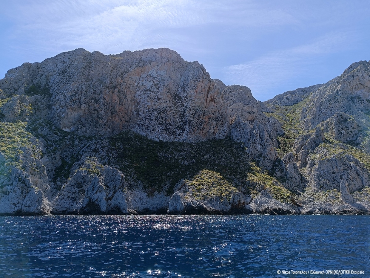 The Bonelli&rsquo;s eagle in the Saronic Gulf