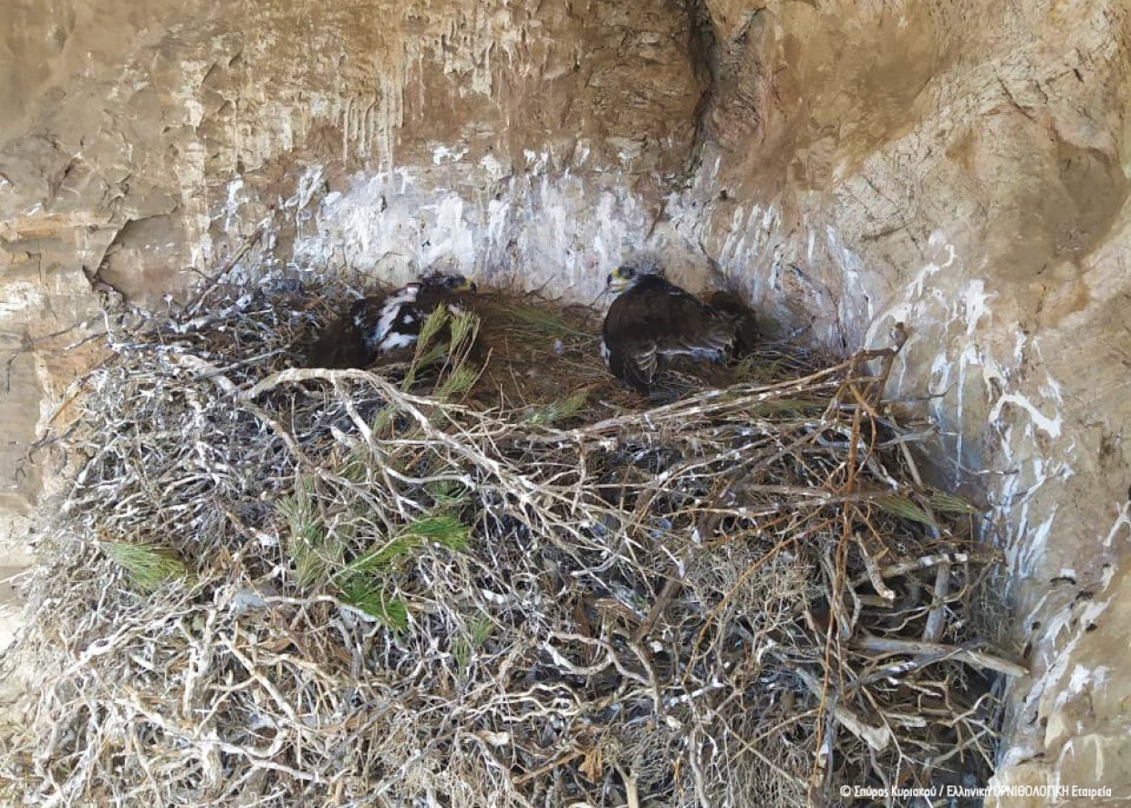 &Sigma;ή&mu;&alpha;&nu;&sigma;&eta; &tau;&eta;&sigmaf; &nu;έ&alpha;&sigmaf; &gamma;&epsilon;&nu;&iota;ά&sigmaf; &Sigma;&pi;&iota;&zeta;&alpha;&epsilon;&tau;ώ&nu; &tau;&eta;&sigmaf; &nu;ό&tau;&iota;&alpha;&sigmaf; &Alpha;&tau;&tau;&iota;&kappa;ή&sigmaf;