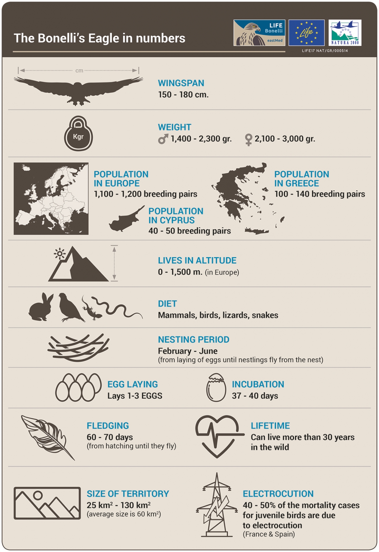 The Bonelli's Eagle in numbers