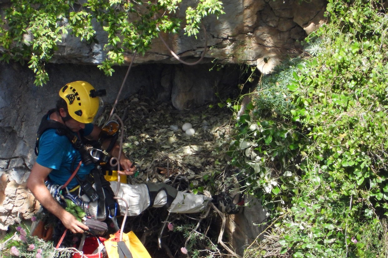 &Eta; &alpha;&nu;&alpha;&pi;&alpha;&rho;&alpha;&gamma;&omega;&gamma;&iota;&kappa;ή &epsilon;&pi;&iota;&tau;&upsilon;&chi;ί&alpha; &delta;&epsilon;&nu; &epsilon;ί&nu;&alpha;&iota; &delta;&epsilon;&delta;&omicron;&mu;έ&nu;&eta;!